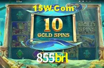 855brl